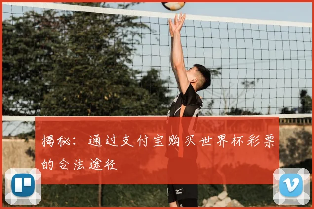 揭秘：通过支付宝购买世界杯彩票的合法途径