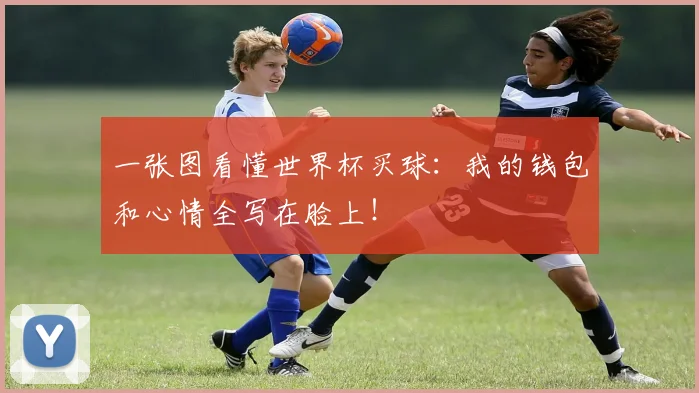 一张图看懂世界杯买球:我的钱包和心情全写在脸上!