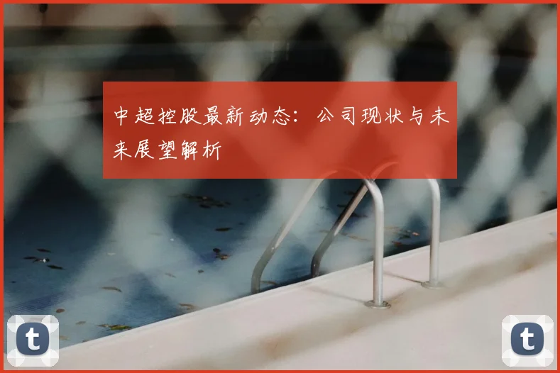 中超控股最新动态：公司现状与未来展望解析
