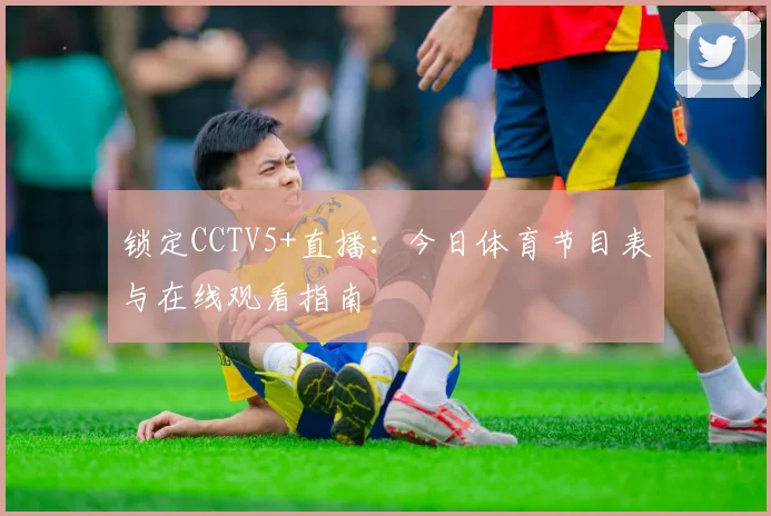 锁定CCTV5+直播：今日体育节目表与在线观看指南