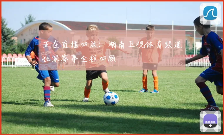 正在直播回放：湖南卫视体育频道独家赛事全程回顾