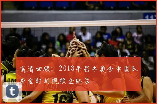 高清回顾：2018平昌冬奥会中国队夺金时刻视频全纪录