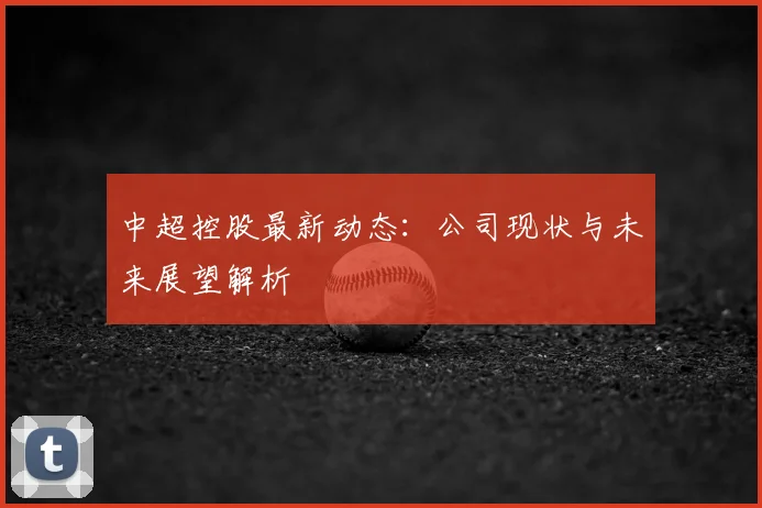 中超控股最新动态：公司现状与未来展望解析